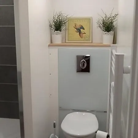 Privative En Rez De Jardin Avec Salle De Bain Guéméné-Penfao